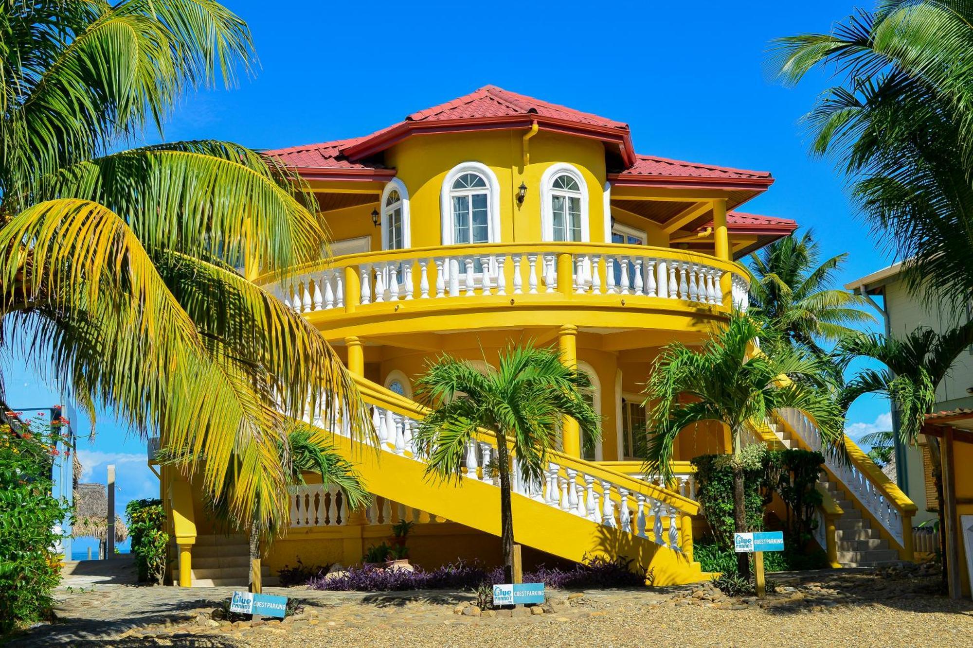 Blue Parrot Beach House And Villas 홉킨스 외부 사진